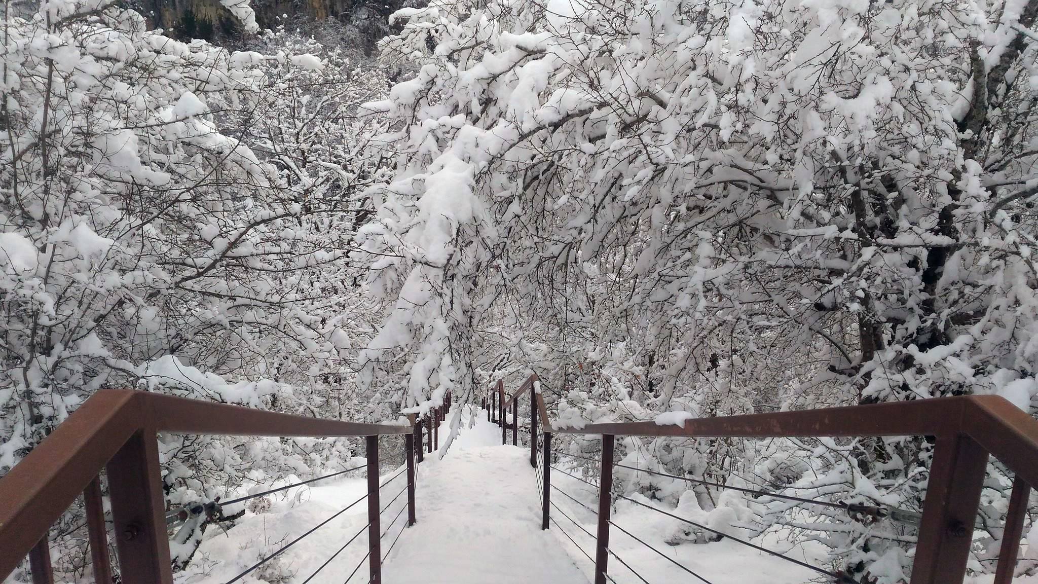 JPG Летом ежедневно кроме понедельника с 10:00 до 18:00, зимой с 10:00 до 17:00. Kanon Okace Kotoryj Vy Ne Uznaete Friend In Georgia