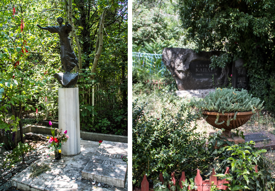 Статьи и 1 099 фотографий ботанический сад петра великого бин ран,. Krymskaya Krugosvetka