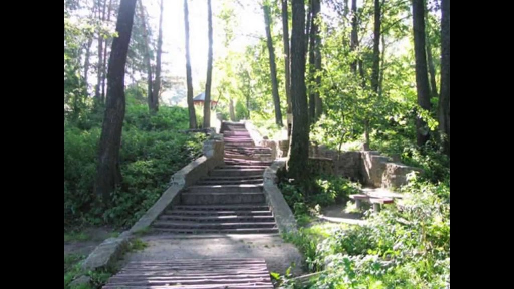 11+ Тур Турыч&nbsp;Картинки