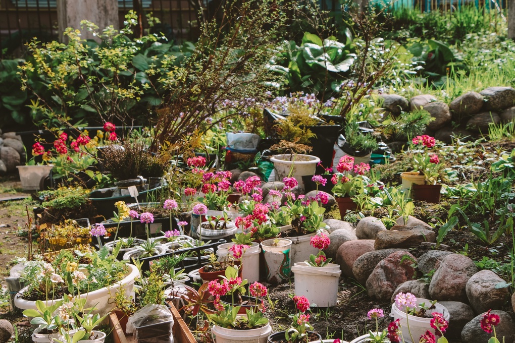 Рекламные На Экскурсии В Ботаническом Саду Маша Увидела&nbsp;Отзывы