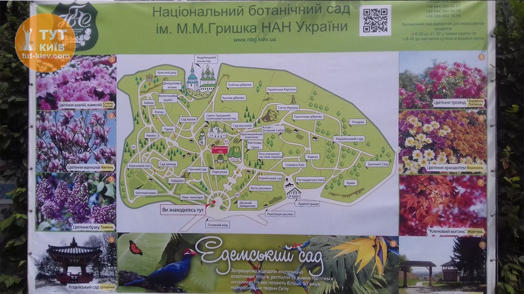 13+ Ботанический Сад Оранжерея Как Добраться&nbsp;Картинки