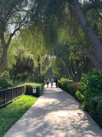 Лучших Абонемент В Ботанический Сад&nbsp;Фотографий