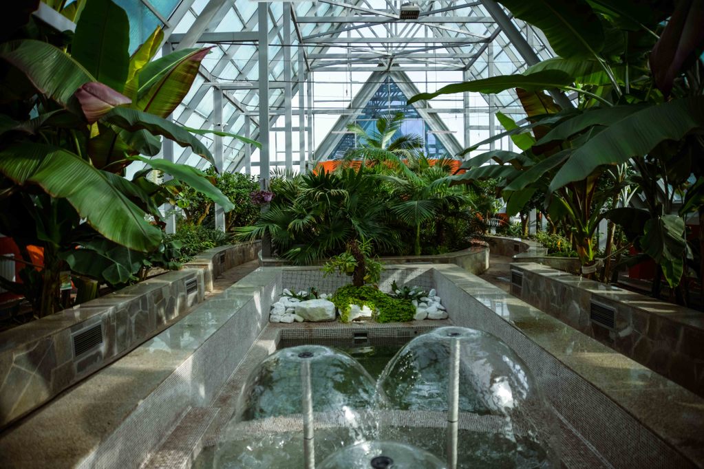 11+ Ботанический Сад Экскурсии&nbsp;Фото