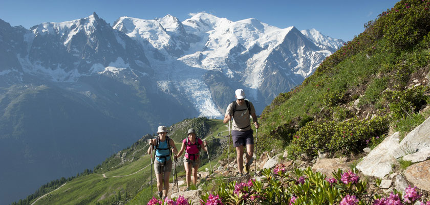 Рекламные Туры В Горы Швейцарии цены и отзывы&nbsp;2022