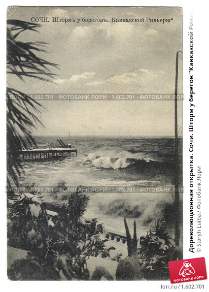 30+ У Берегов Кавказа Отзывы