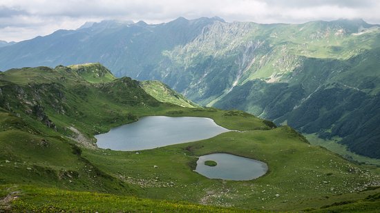 Лучших Экскурсия Альпийские Луга Абхазия Отзывы