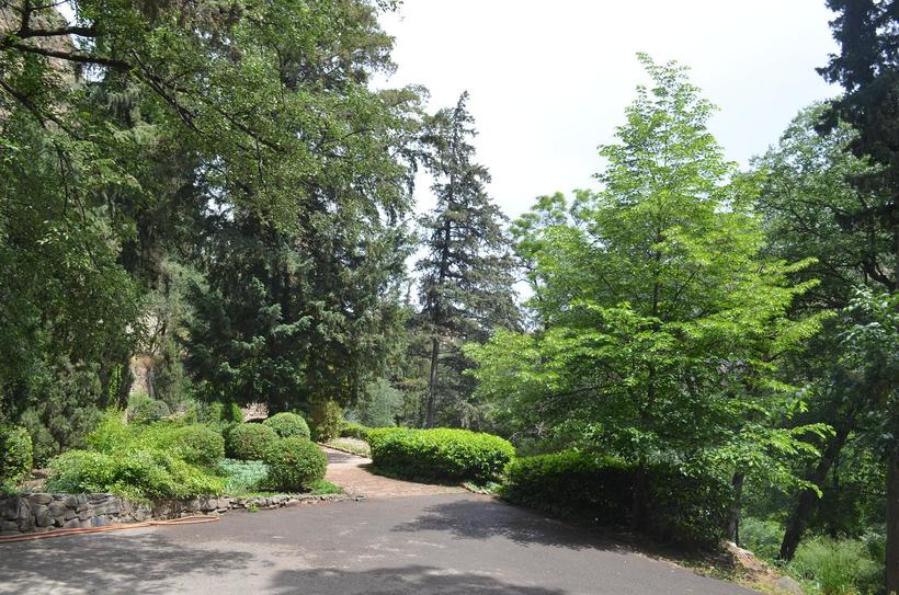 Рекламные Экскурсия В Ботанический Сад Новосибирск цены и отзывы 2022