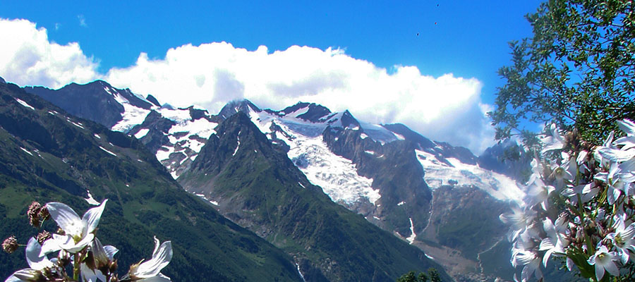 22+ Туры Кавказа Цены 2022