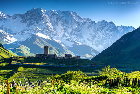 Инфо Тур В Грузию Сванетия&nbsp;Фото