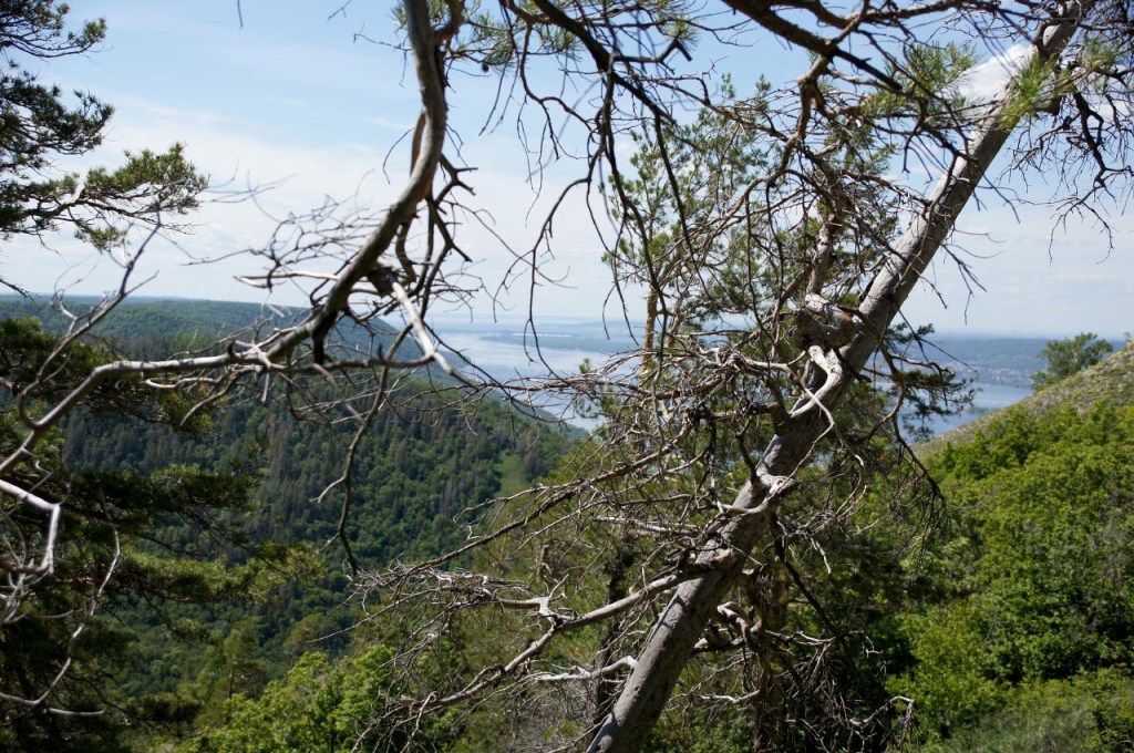 Рекламные Экскурсия На Гору Стрельная Из Самары&nbsp;Картинки