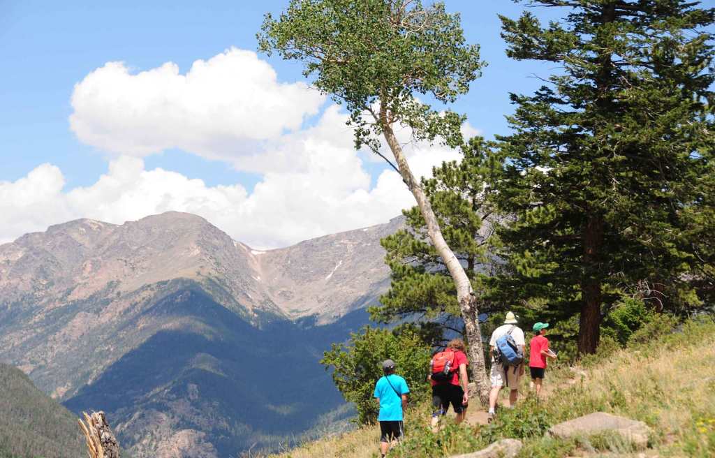 Инфо Прогулка По Горам&nbsp;Фото