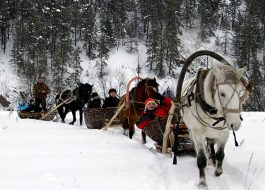 46+ Туры В Горы Башкирии&nbsp;Отзывы