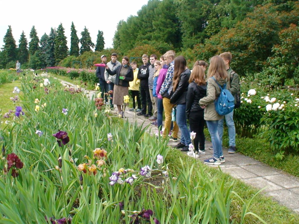 Инфо Экскурсия В Ботанический Сад&nbsp;Фотографий