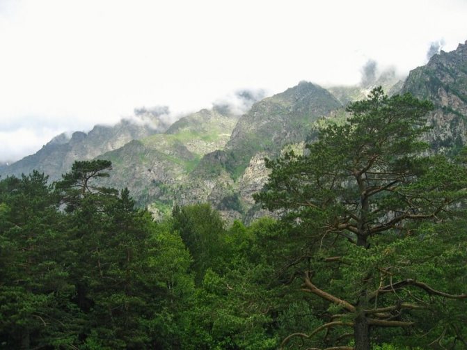 Эксклюзивные Ущелье Цей&nbsp;Отзывы