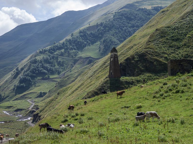 10+ Экскурсия В Аргунское Ущелье&nbsp;Картинки