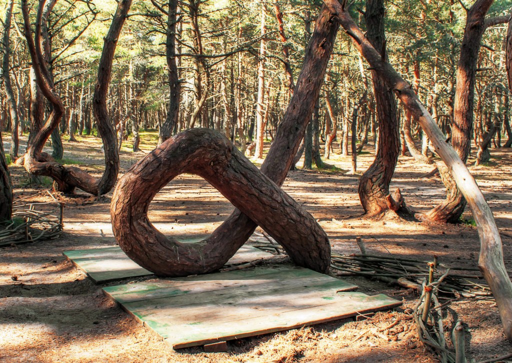 48+ Фрингилла Экскурсия&nbsp;Отзывы