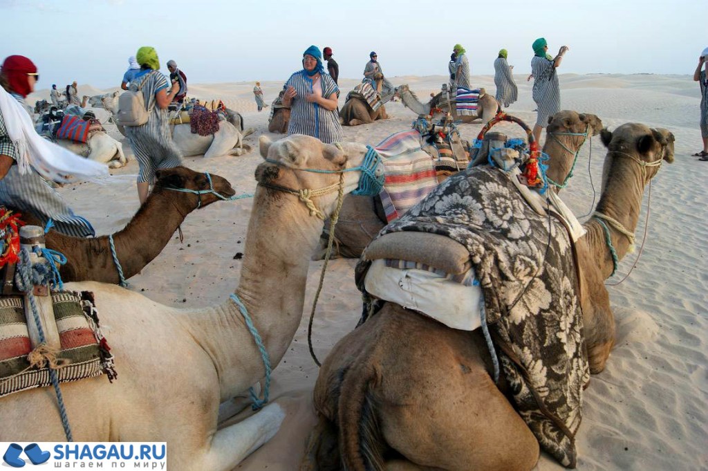 Рекламные Экскурсия В Пустыню Сахара Тунис&nbsp;Фотографий