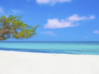 Лучших Туры Аруба Цены&nbsp;2022