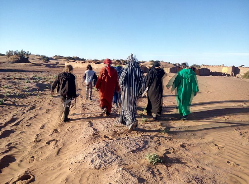 25+ Туры В Сахару Отзывы