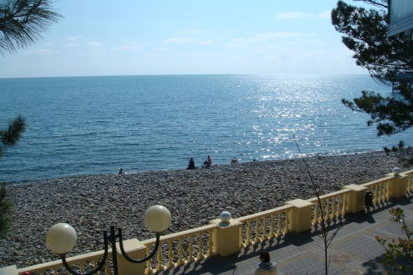 Рекламные Туры В Сочи Май 2021&nbsp;Фотографий