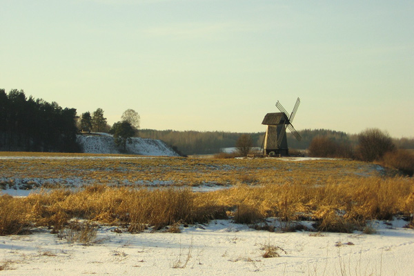 32+ Экскурсия В Пушкинские Горы цены и отзывы&nbsp;2022